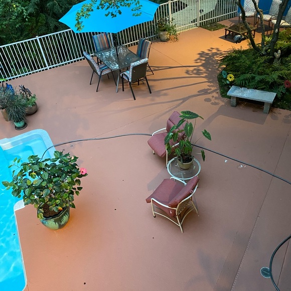 Please feel free to say hello❤️👍😊🌹🌹🌹🌹 - Picture 11 of 16